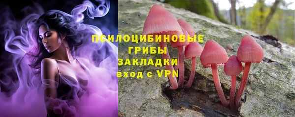 кристаллы Няндома