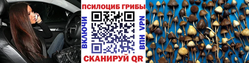 Псилоцибиновые грибы мицелий  где можно купить   Киреевск 