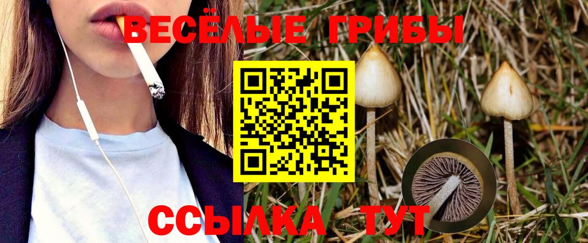 Киреевск  Галлюциногенные грибы Cubensis  Вход с VPN  Псилоцибиновые грибы ЛСД 