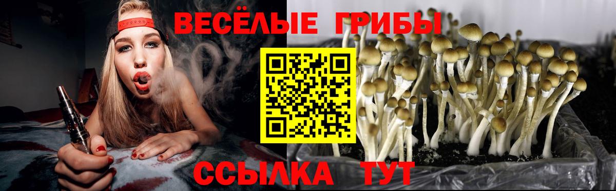 Канабис  Киреевск  MDMA  Кетамин  Гашиш  Вход с VPN  Мяу-Мяу  Альфа ПВП 